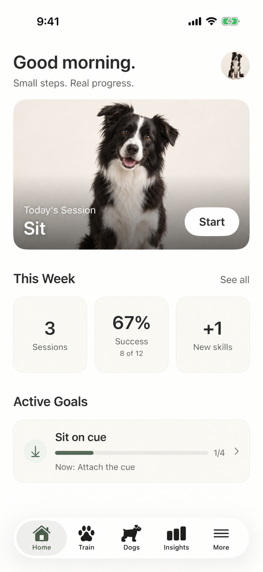Cueby app home screen showing a dog’s lesson and weekly progress