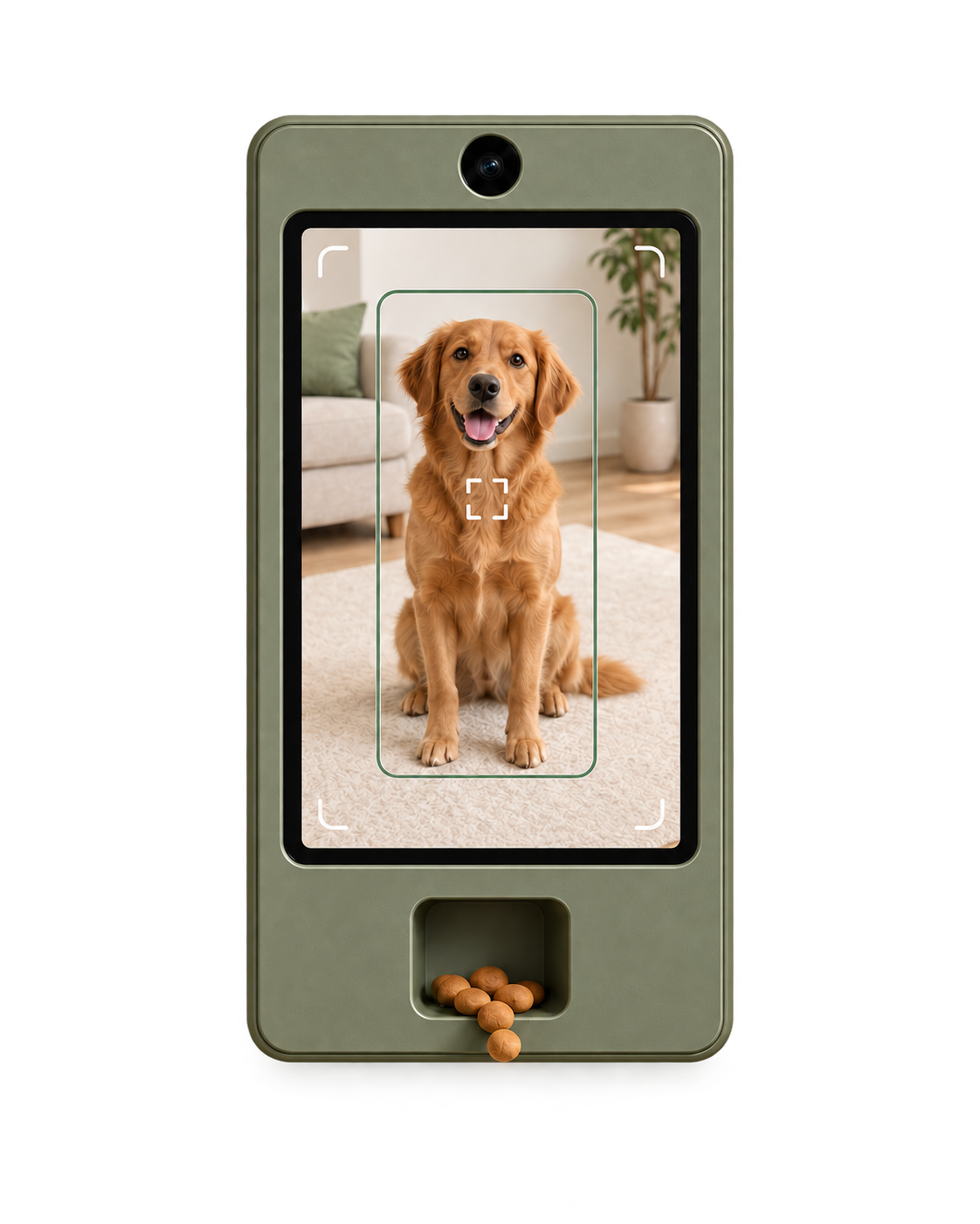 Cueby camera, screen, and treat dispenser